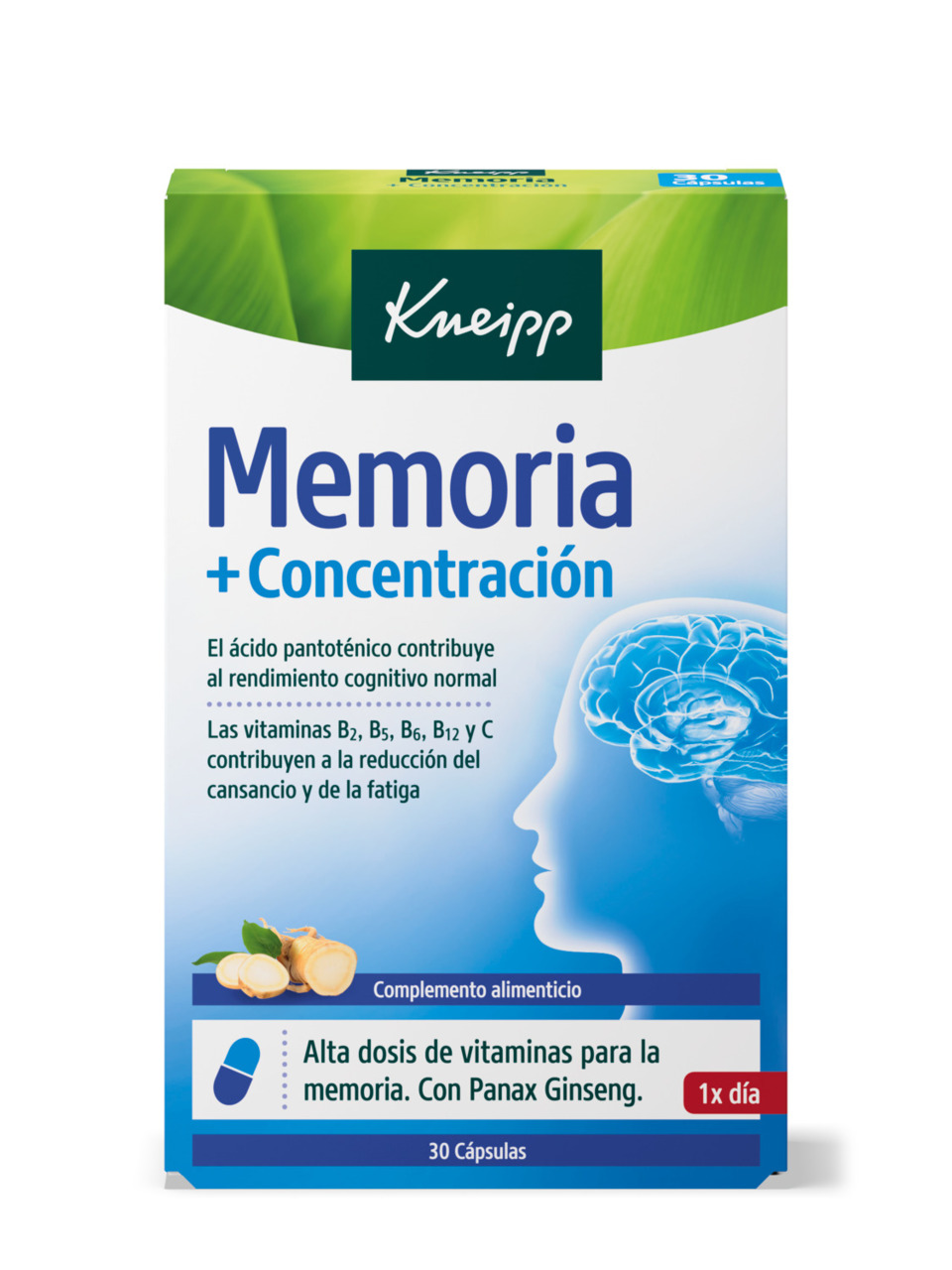 Comprar Productos para la Concentración y Memoria